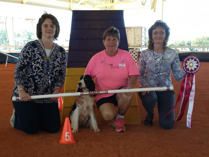 The same lady, in pink shirt kneeling beside black and white springer spaniel, Luci flanked by two female agility one holding red, white and blue rosette award ribbon and white PVC autograph bar.