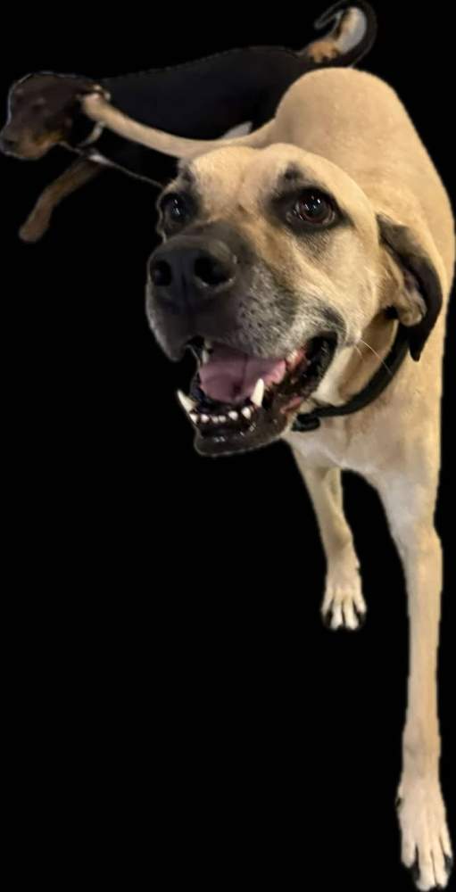 It's Raining, It's Storming Norman