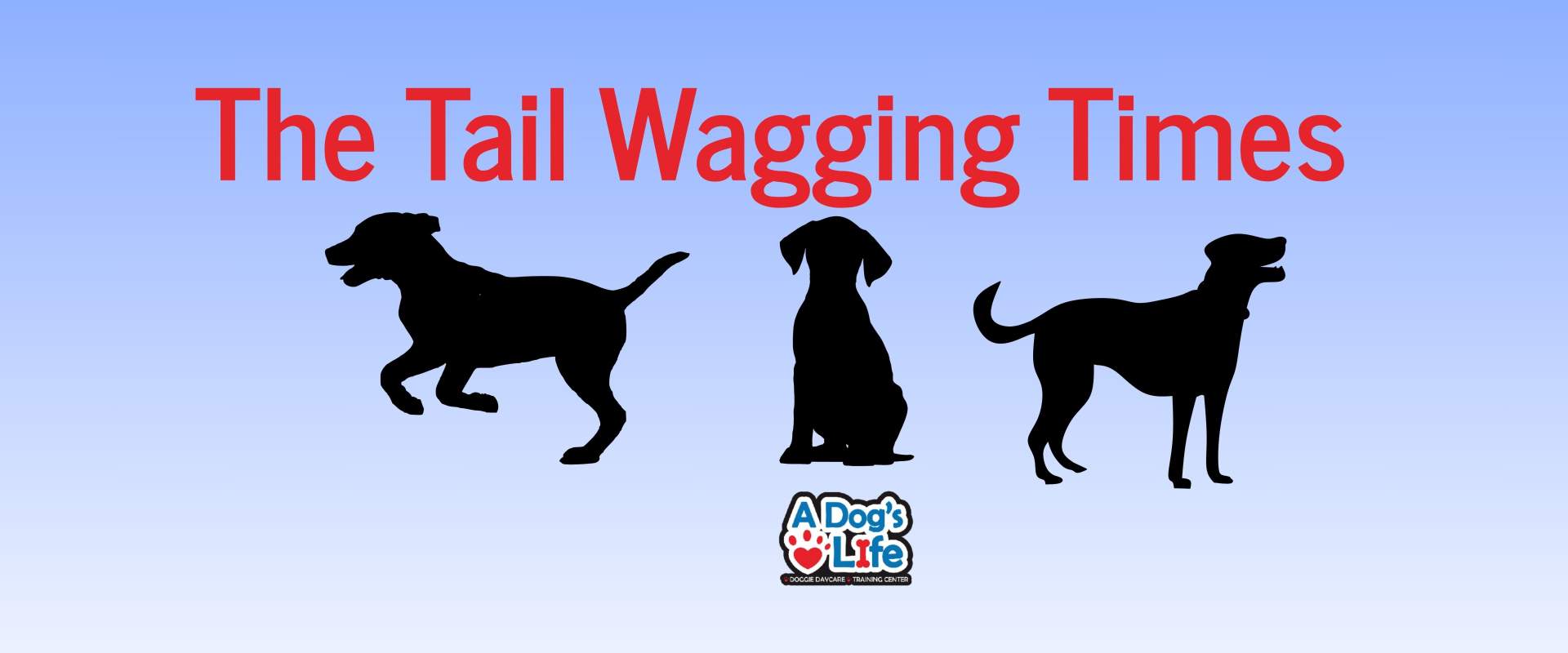 The Tail Wagging Times (3)